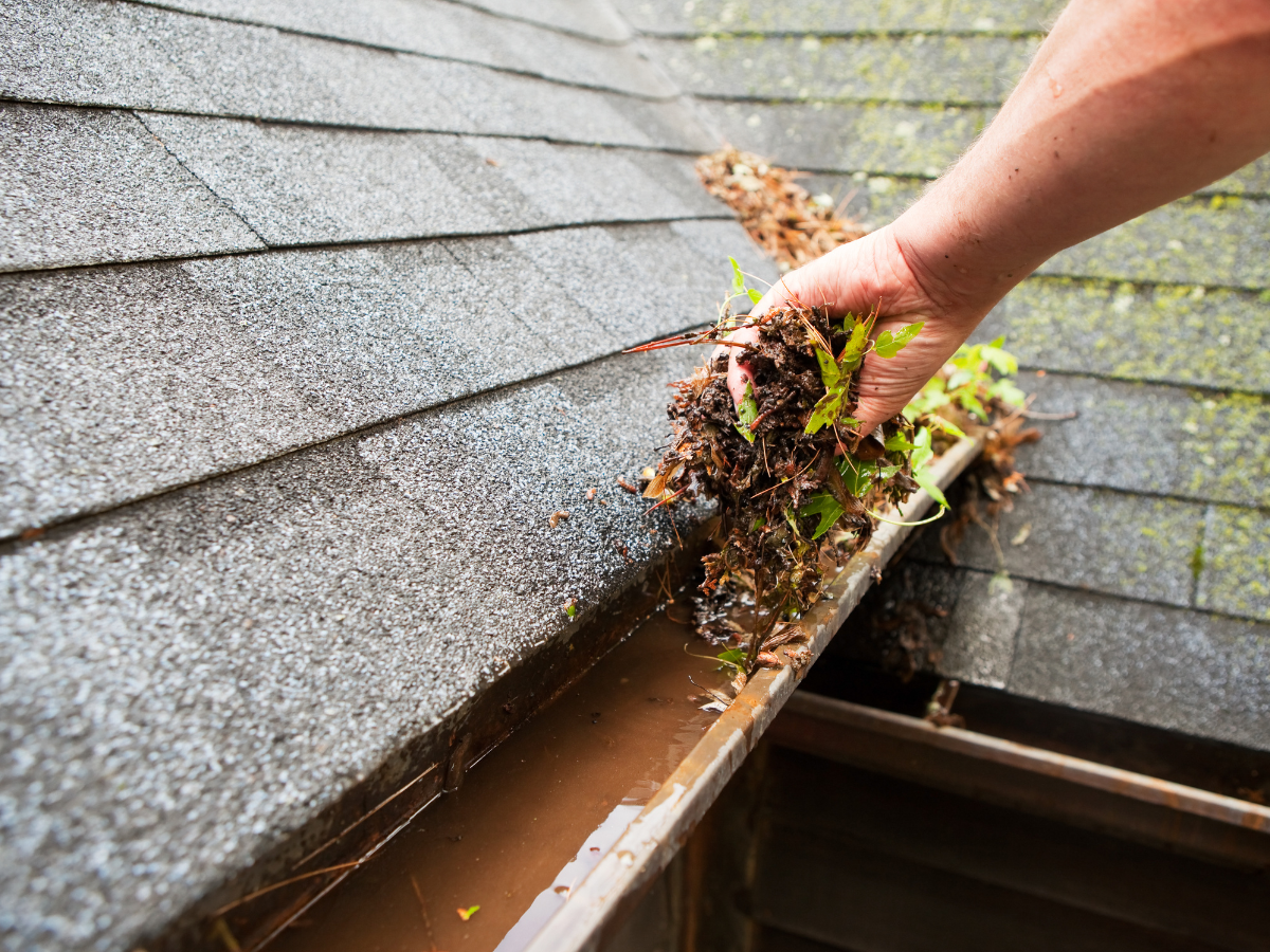 gutter cleaning services kansas