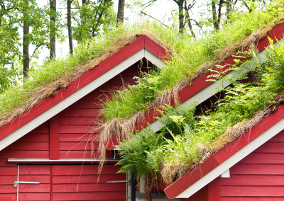 Green Roofing